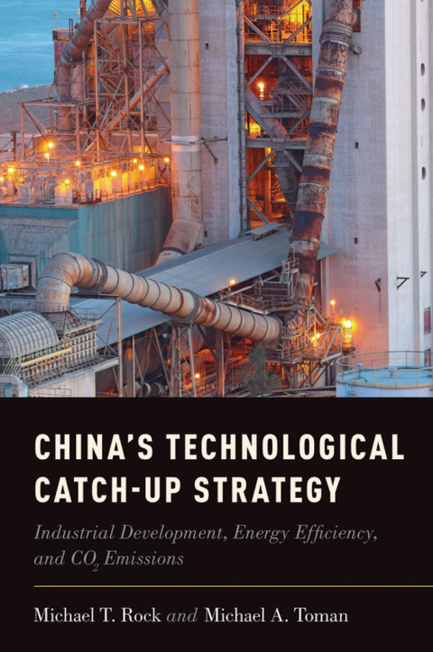 Book China's Technological Catch-Up Strategy free