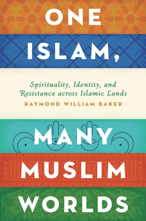 Book One Islam, Many Muslim Worlds: Spirituality, Identity, and Resistance across Islamic Lands (Religion and Global Politics) free