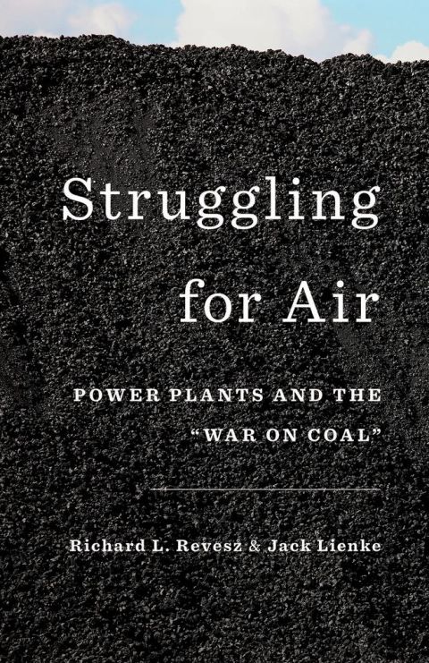 Book Struggling for Air: Power Plants and the "War on Coal" free