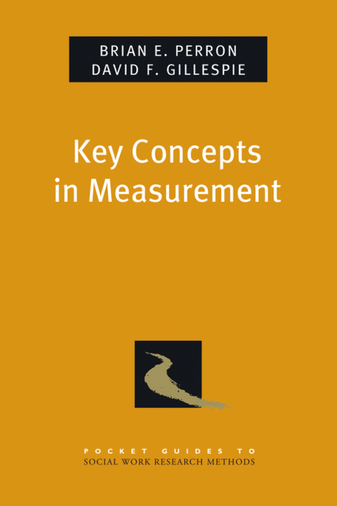Book Key Concepts in Measurement (Pocket Guide to Social Work Research Methods) free