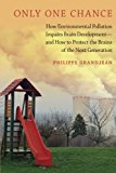 Book Only One Chance: How Environmental Pollution Impairs Brain Development -- and How to Protect the Brains of the Next Generation (ENVIRONMENTAL ETHICS AND SCIENCE POLICY SERIES) free