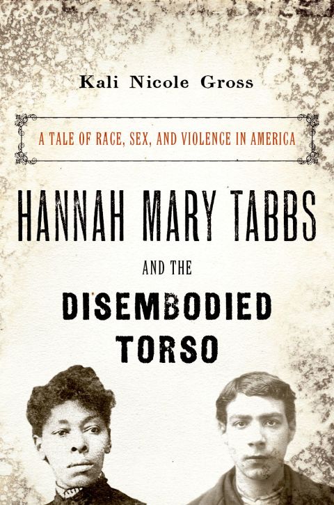 Book Hannah Mary Tabbs and the Disembodied Torso: A Tale of Race, Sex, and Violence in America free