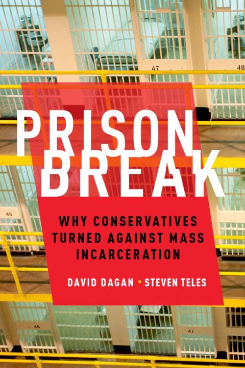 Book Prison Break: Why Conservatives Turned Against Mass Incarceration (Studies in Postwar American Political Development) free