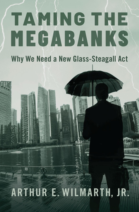 Book Taming the Megabanks: Why We Need a New Glass-Steagall Act free