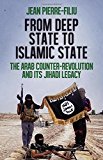 Book From Deep State to Islamic State: The Arab Counter-Revolution and its Jihadi Legacy (CERI Series in Comparative Politics and International Studies) free