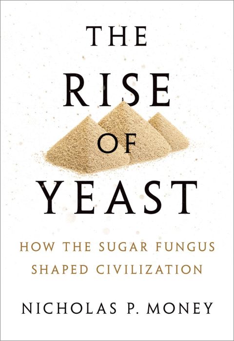 Book The Rise of Yeast free