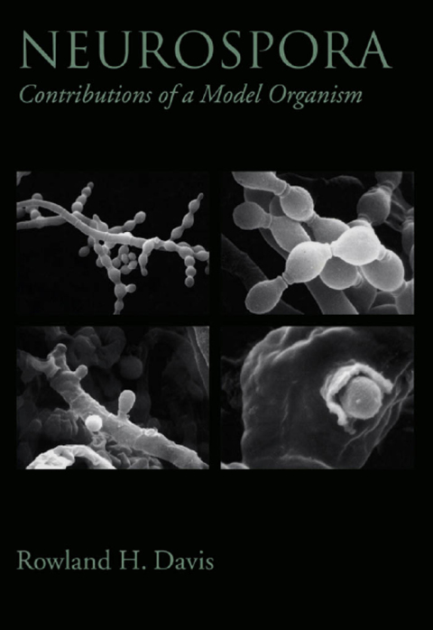 Book Neurospora: Contributions of a Model Organism free
