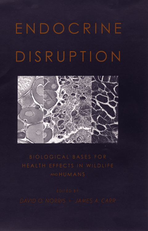 Book Endocrine Disruption free