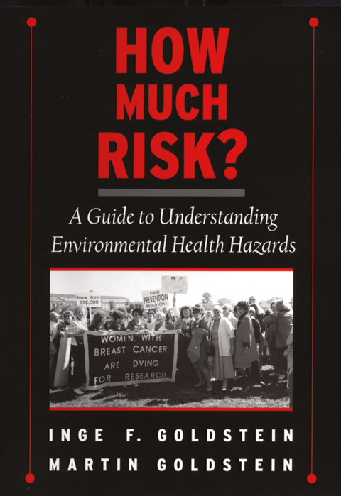 Book How Much Risk? free