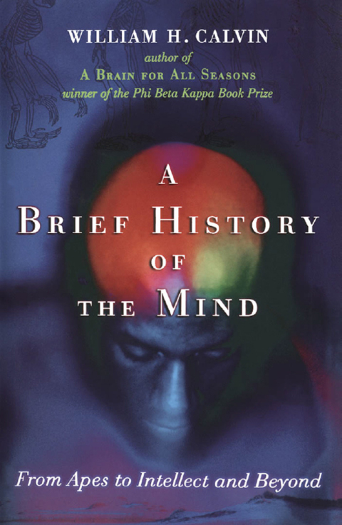 Book A Brief History of the Mind: From Apes to Intellect and Beyond free