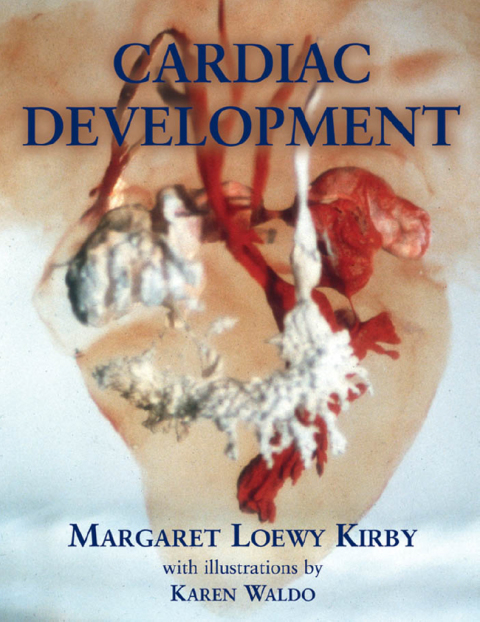Book Cardiac Development free