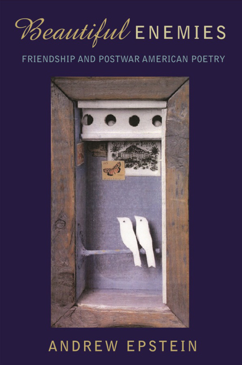 Book Beautiful Enemies free