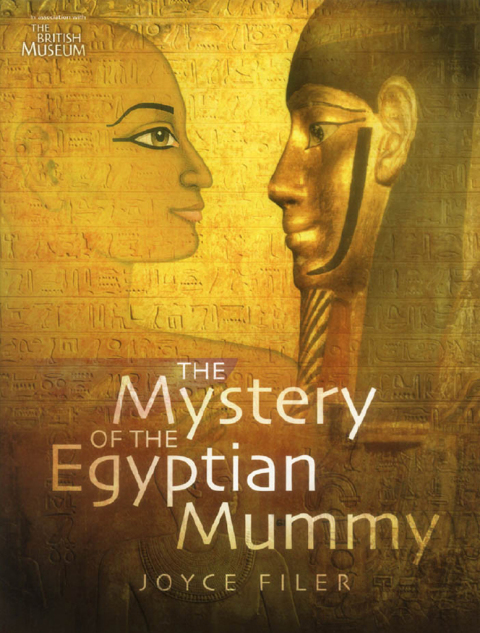 Book The Mystery of the Egyptian Mummy free