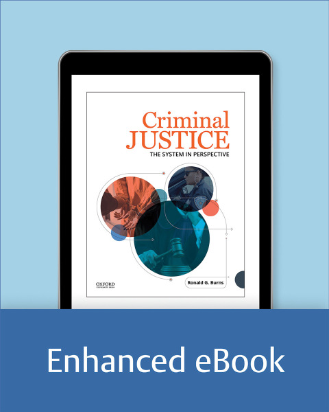 Book Criminal Justice: The System in Perspective free