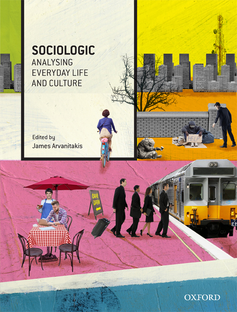Book Sociologic: Analysing Everyday Life and Culture free