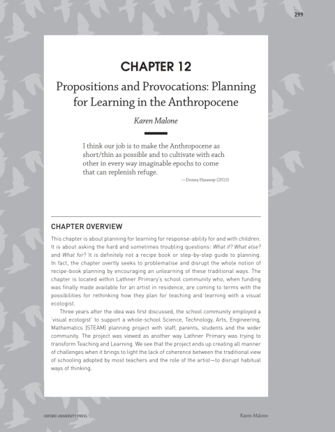 Book Chapter 12: Propositions and Provocations: Planning for Learning in the Anthropocene free