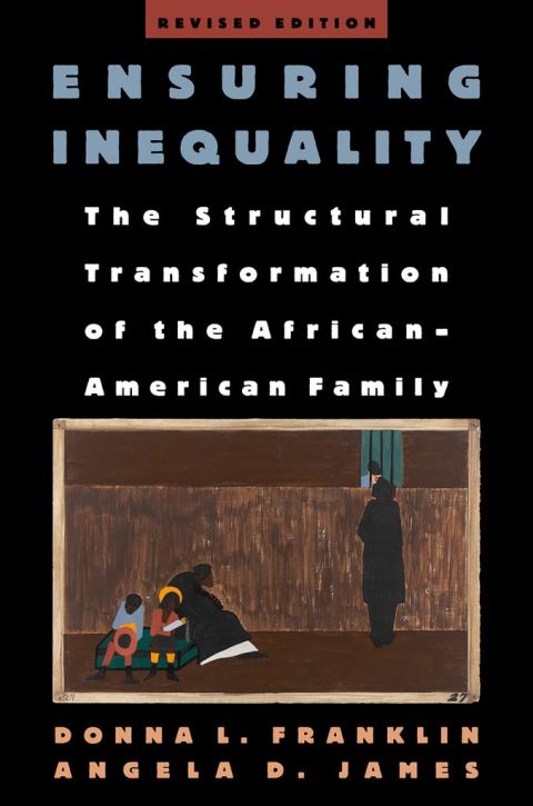 Book Ensuring Inequality: The Structural Transformation of the African American Family free
