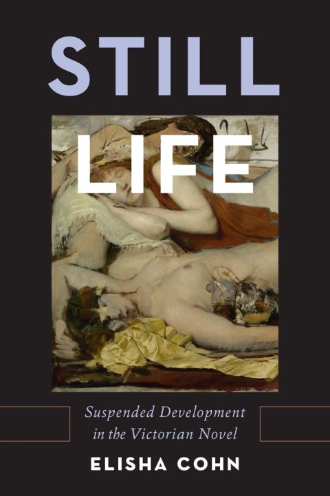 Book Still Life: Suspended Development in the Victorian Novel free