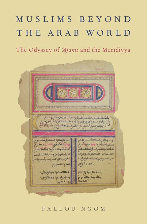 Book Muslims beyond the Arab World: The Odyssey of Ajami and the Muridiyya (AAR Religion, Culture, and History) free