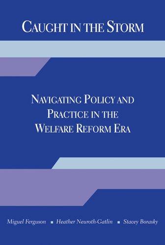 Book Caught in the Storm: Navigating Policy and Practice in the Welfare Reform Era free