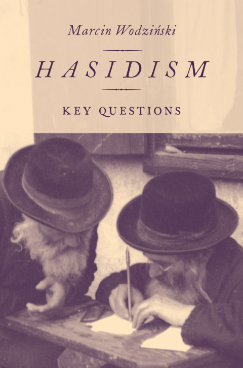 Book Hasidism: Key Questions free