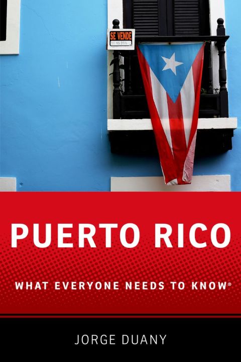 Book Puerto Rico: What Everyone Needs to Know® free