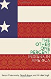 Book The Other One Percent: Indians in America (Modern South Asia) free Book The Other One Percent: Indians in America (Modern South Asia) free