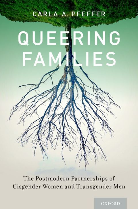Book Queering Families: The Postmodern Partnerships of Cisgender Women and Transgender Men (Sexuality, Identity, and Society) free