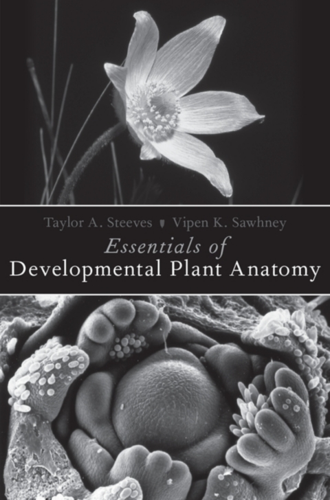 Book Essentials of Developmental Plant Anatomy free