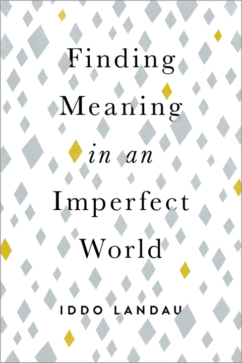 Book Finding Meaning in an Imperfect World free