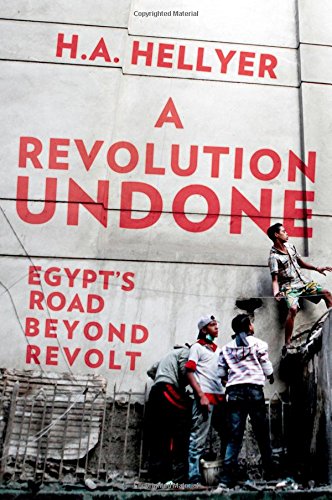 Book A Revolution Undone: Egypt's Road Beyond Revolt free