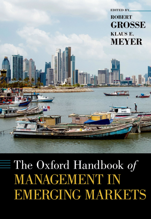 Book The Oxford Handbook of Management in Emerging Markets (Oxford Handbooks) free