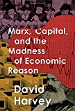 Book Marx, Capital, and the Madness of Economic Reason free