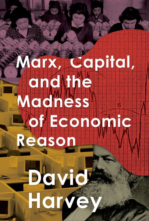 Book Marx, Capital, and the Madness of Economic Reason free