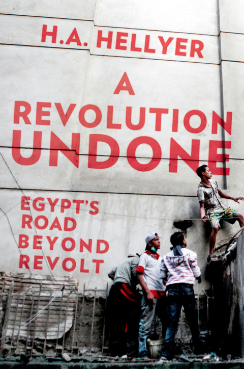 Book A Revolution Undone: Egypt's Road Beyond Revolt free