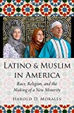 Book Latino and Muslim in America: Race, Religion, and the Making of a New Minority (AAR Religion, Culture, and History) free