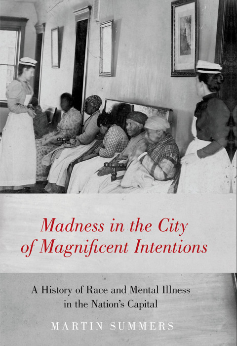 Book Madness in the City of Magnificent Intentions free