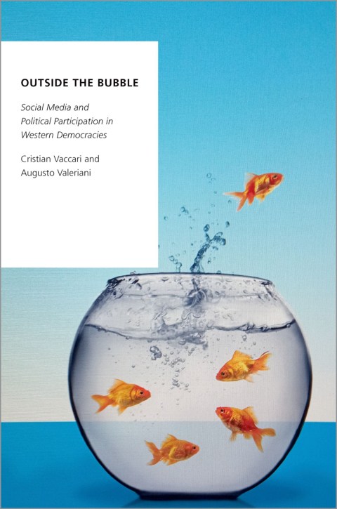 Book Outside the Bubble: Social Media and Political Participation in Western Democracies (Oxford Studies in Digital Politics) free
