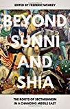 Book Beyond Sunni and Shia: The Roots of Sectarianism in a Changing Middle East free