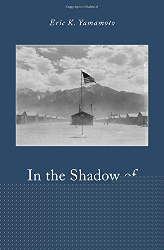 Book In the Shadow of Korematsu: Democratic Liberties and National Security free