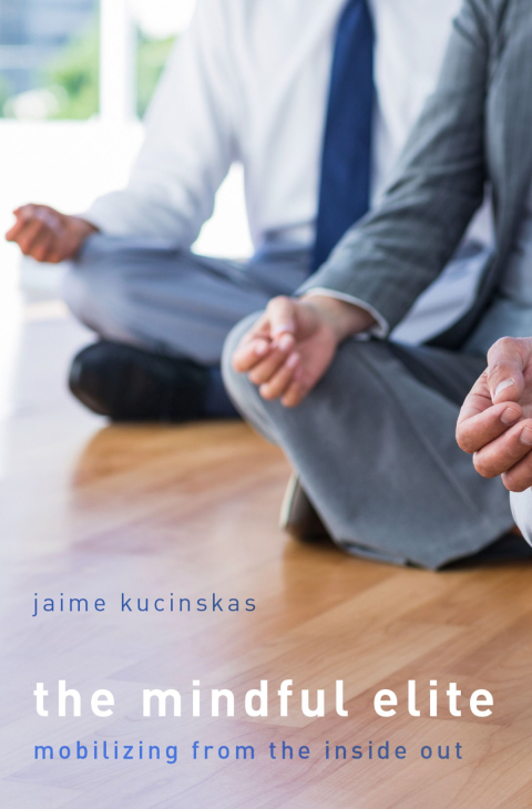 Book The Mindful Elite: Mobilizing from the Inside Out free
