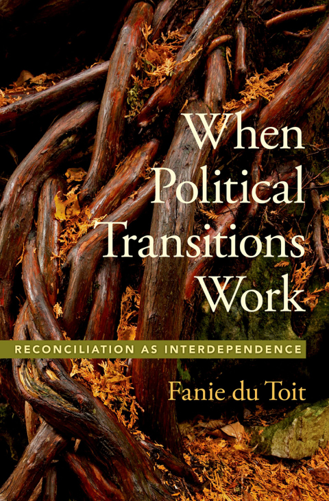 Book When Political Transitions Work free