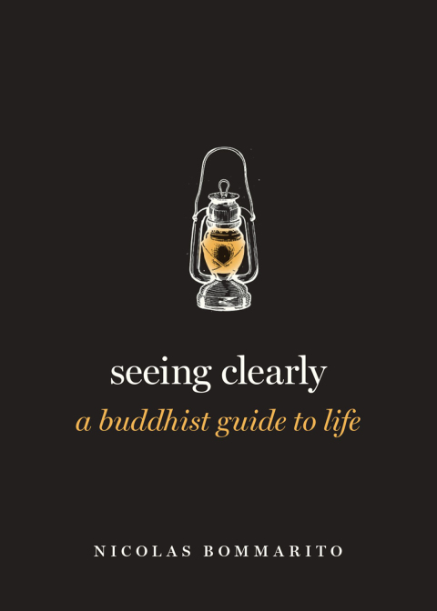 Book Seeing Clearly free