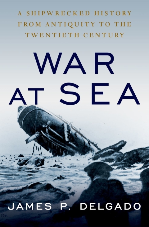 Book War at Sea: A Shipwrecked History from Antiquity to the Twentieth Century free