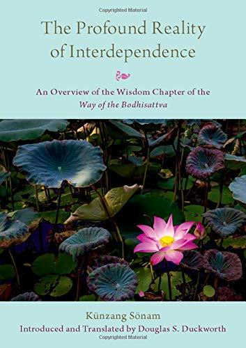 Book The Profound Reality of Interdependence: An Overview of the Wisdom Chapter of the Way of the Bodhisattva free