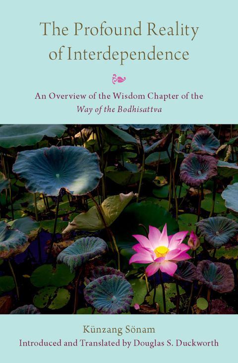 Book The Profound Reality of Interdependence free