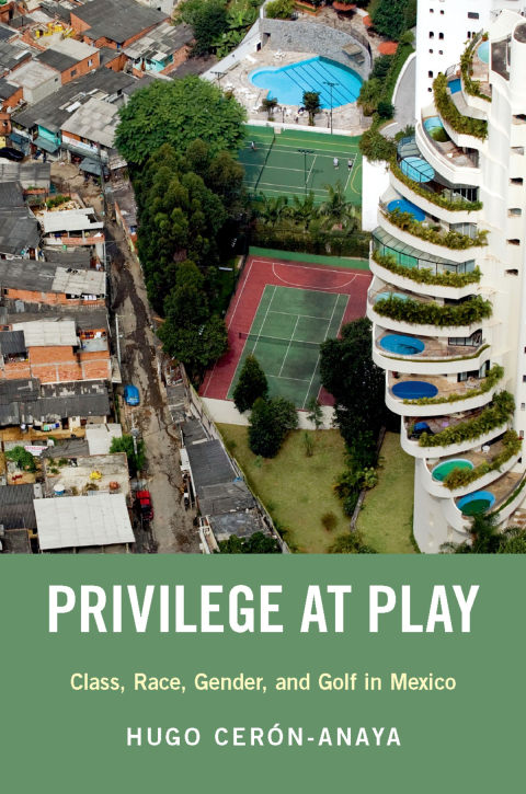 Book Privilege at Play free