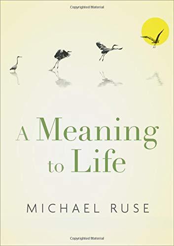 Book A Meaning to Life (Philosophy in Action) free