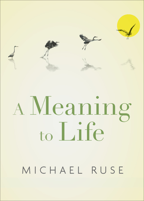 Book A Meaning to Life (Philosophy in Action) free