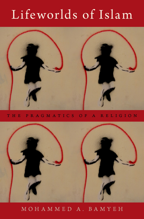 Book Lifeworlds of Islam: The Pragmatics of a Religion free